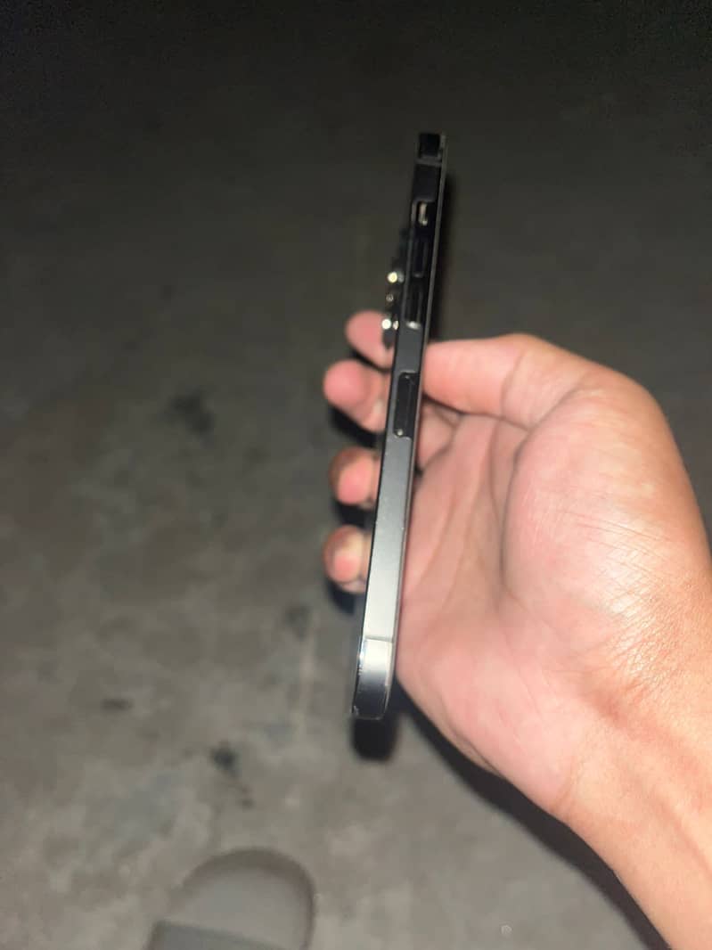 12 pro max 3