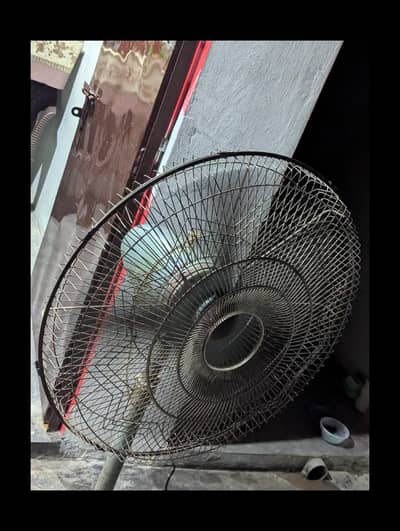 Fuji fan 