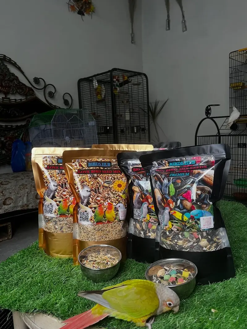 Hand tame birds rump | conure & parrot accessories — photo 9