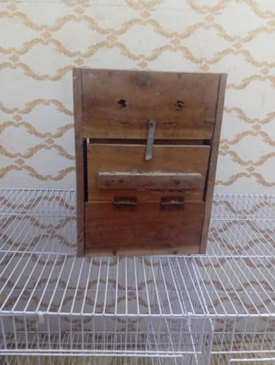 parrots breeding box