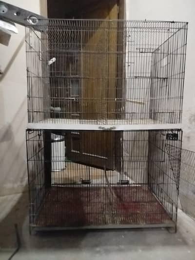 4 portions folding cage for sale best for sunconure, cocktail