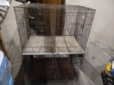 4 portions folding cage for sale best for sunconure, cocktail