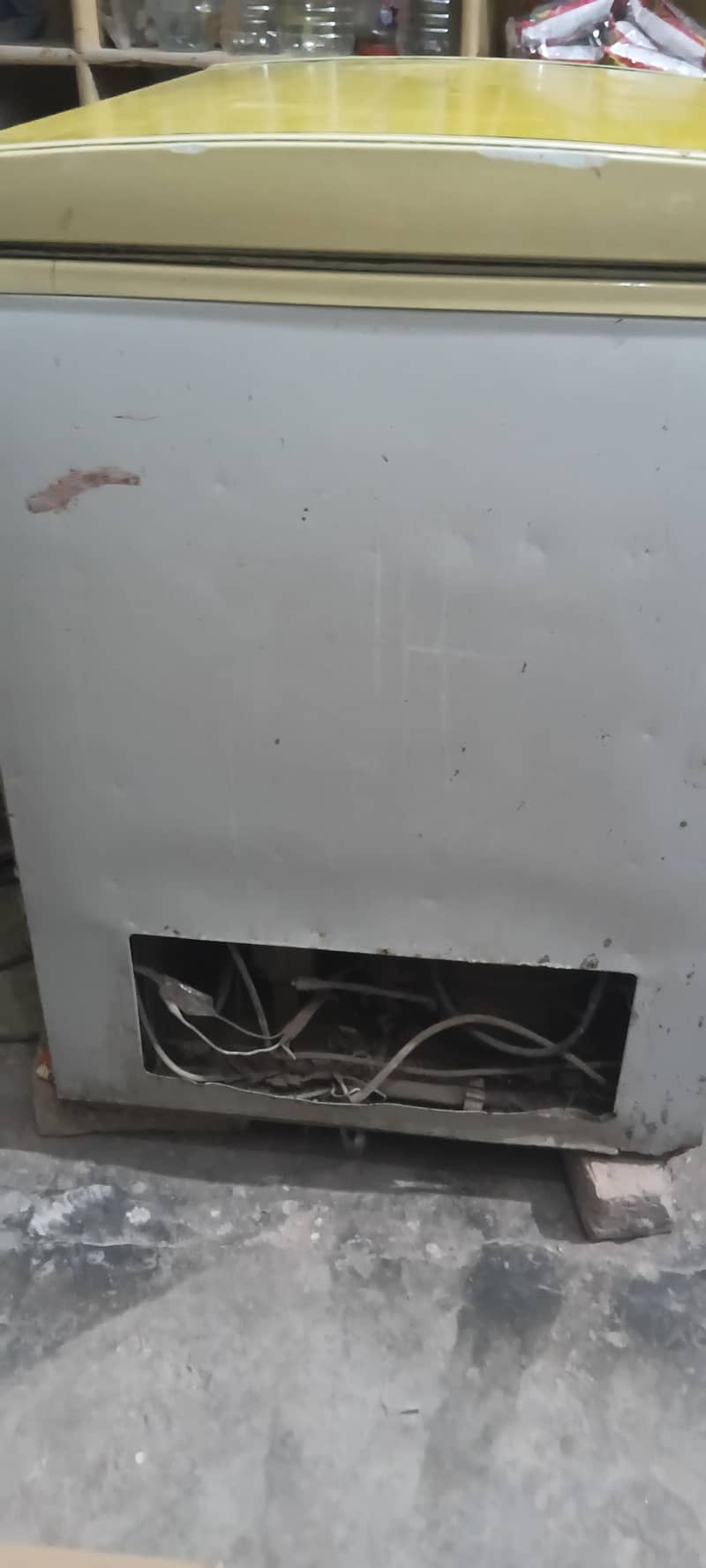 freezer 6