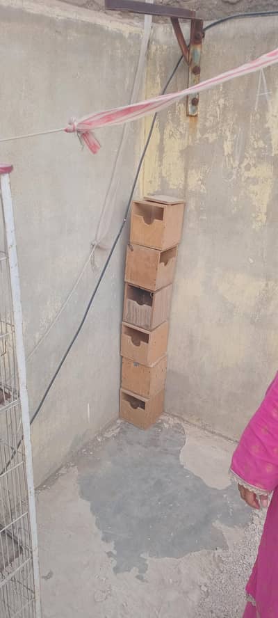 Cage for Sale finch boxs