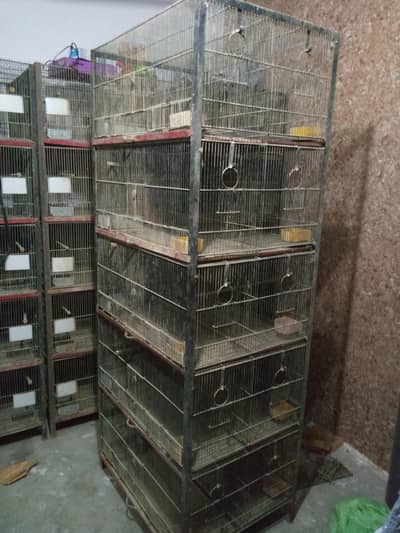 Birds Cage 10 Portion