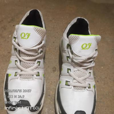 sports shoes