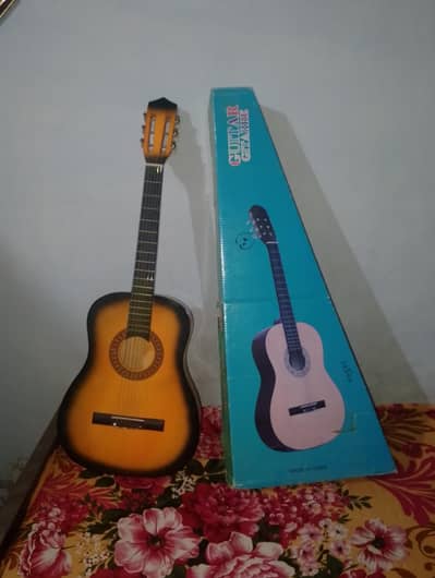 acoustic guitar
