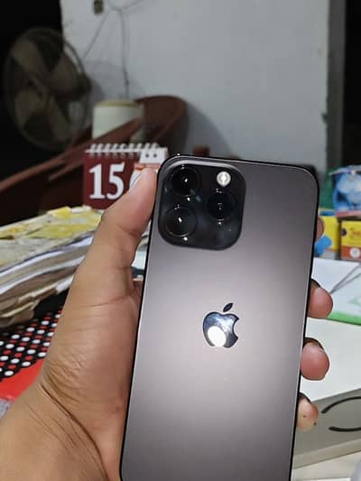 14 mex black beauty for sale