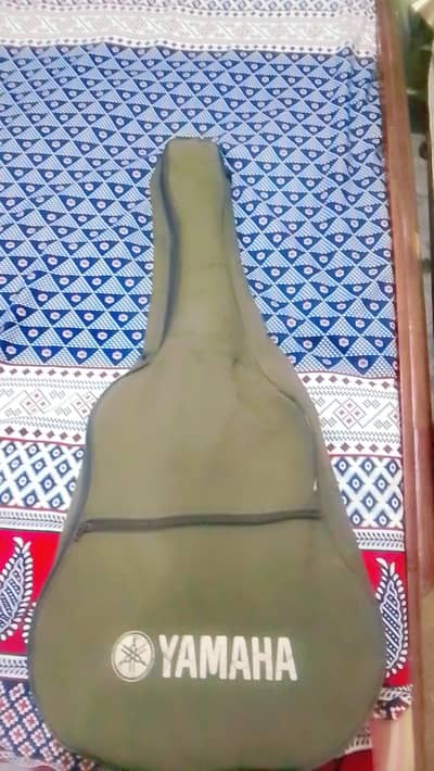 acoustic guitar