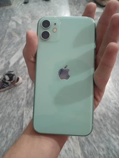 iPhone 11 all ok