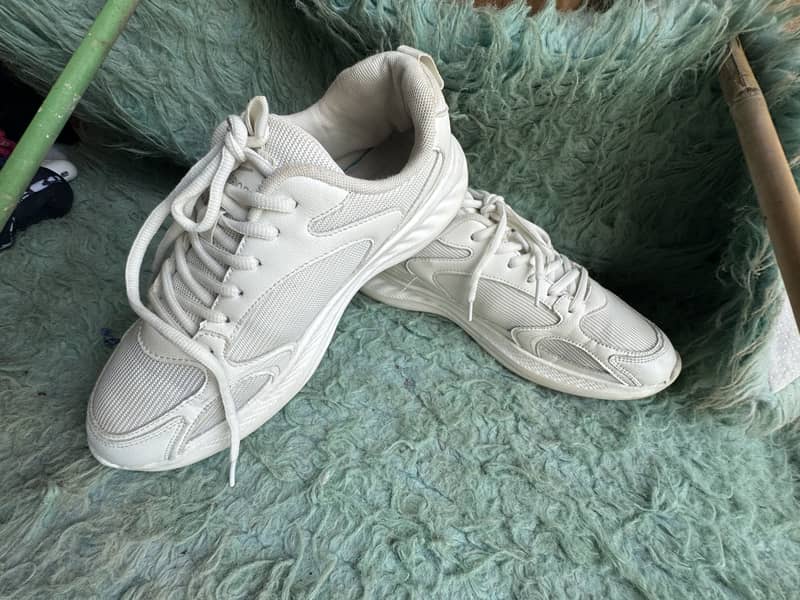 Thrift shoe 1