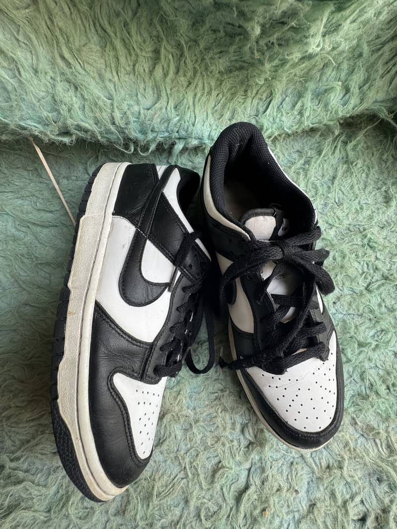 Thrift shoe 3