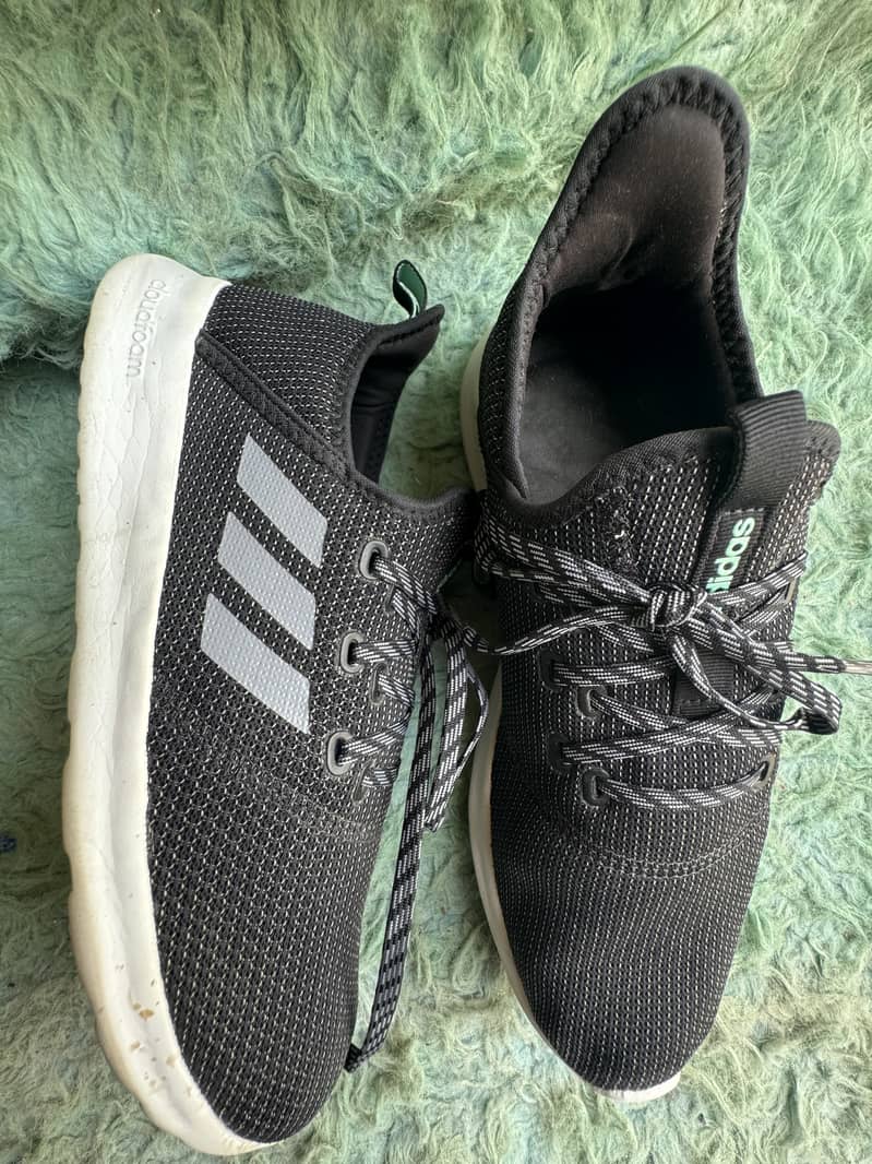 Thrift shoe 6