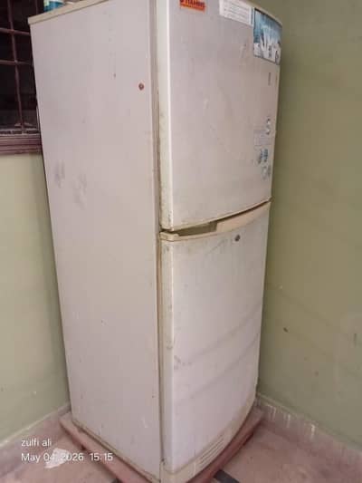 Frige PEL