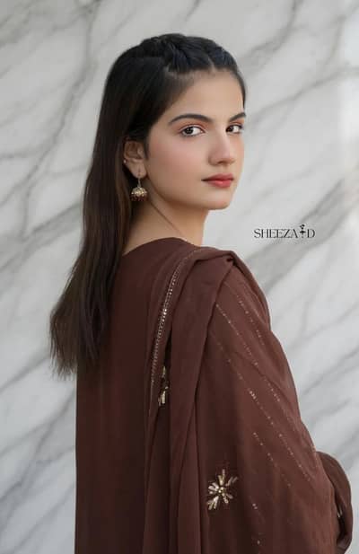 Noor-e-Brown Chiffon Embroidered 3-Piece Suit