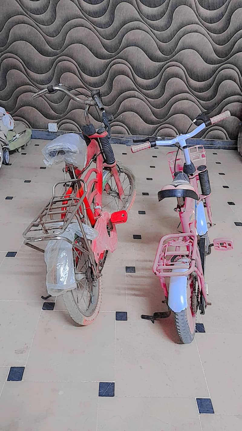 2 BICYCLES 1
