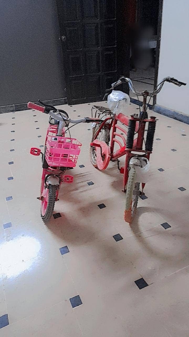 2 BICYCLES 2
