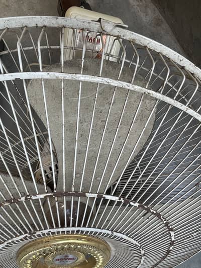 Royal (full size bracket fane)