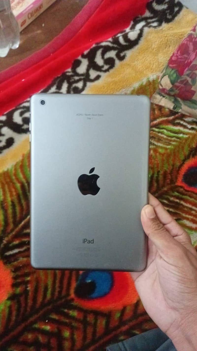 iPad mini 2 1