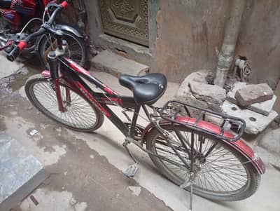 bilkul New jessi