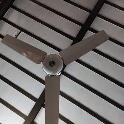 pak fan 3 fans. hain copper winding