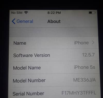 iphone 5s