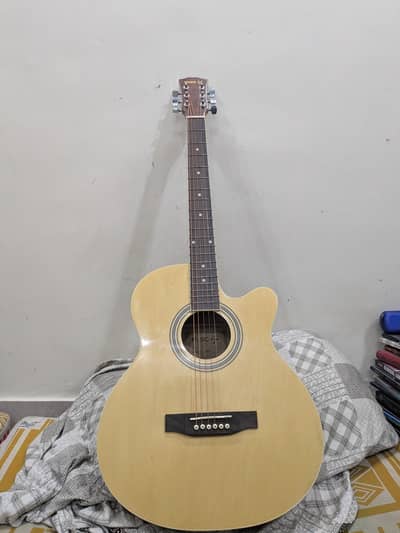 Acoustic Guitar