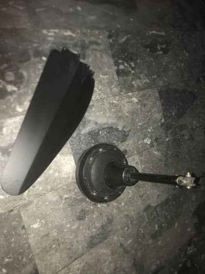 Ceiling fan