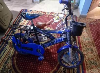 Pair Of Cycle Available
