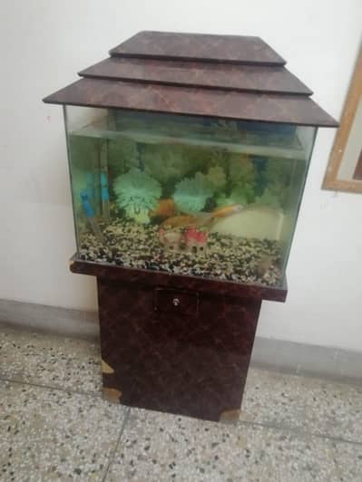 aquarium