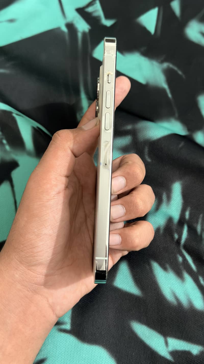 iPhone 13 Pro Max 2