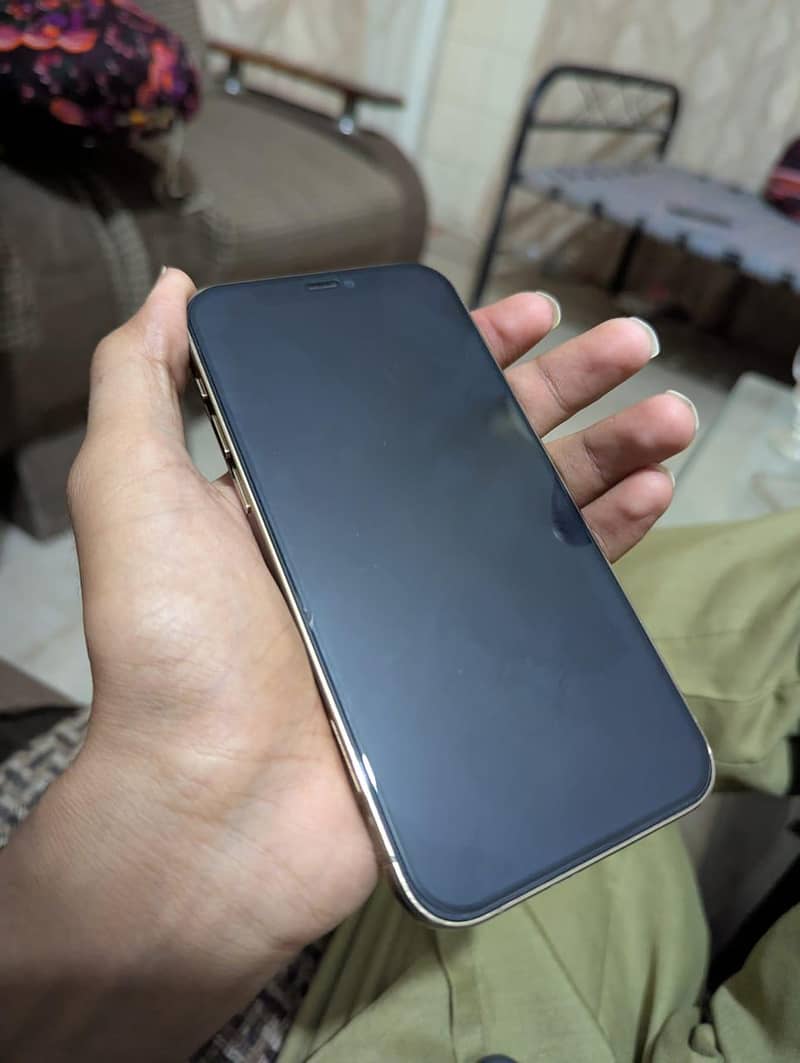 IPhone 12 Pro 1