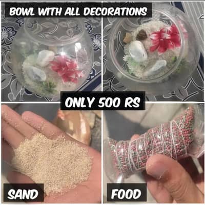 Fish bowl and tank for sale with decorations - in cheap price