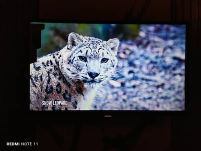 Malaysian Smart LED TV | 32" inches