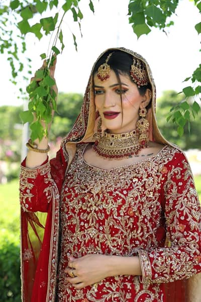 Barat Dress