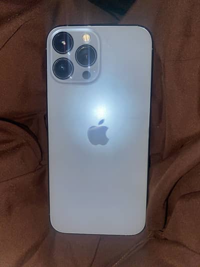 13 Pro Max
