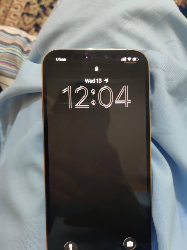 12 pro max 1