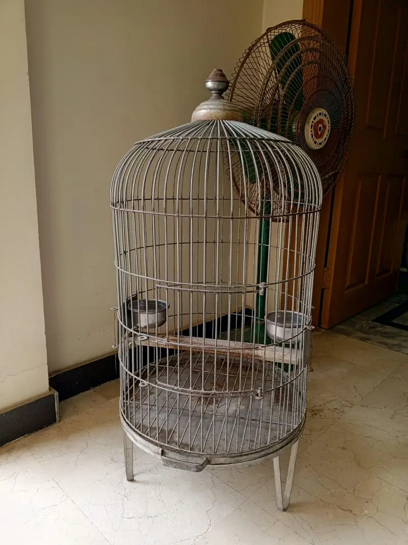 heavy cage for sale