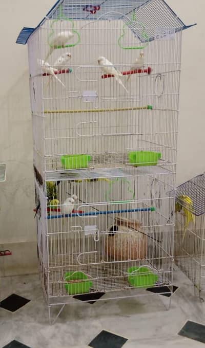Bird cage
