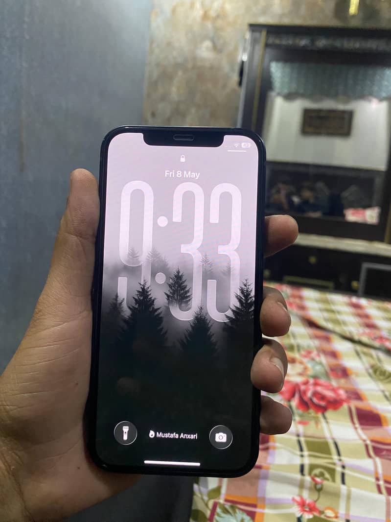 iPhone 12 0