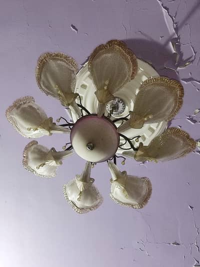 Chandeliers (Jhumar)