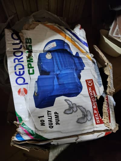 Pedrollo Water Pump Motor