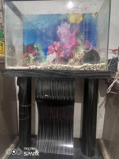 equarium