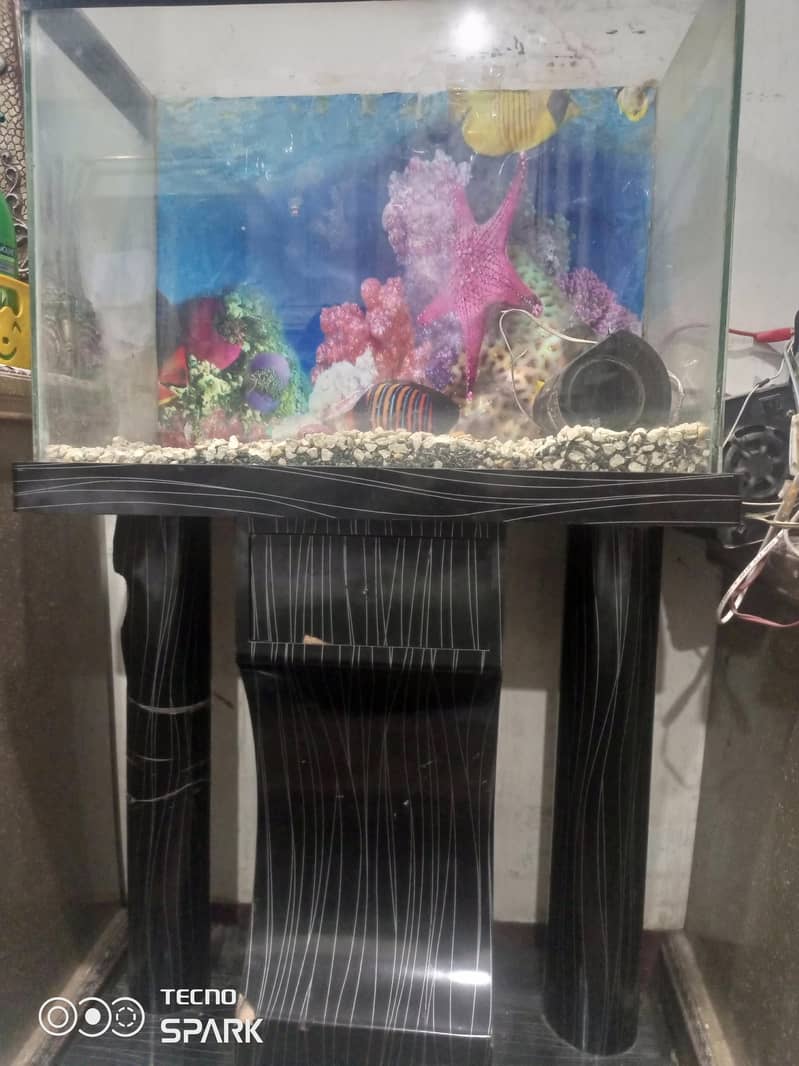 equarium 0