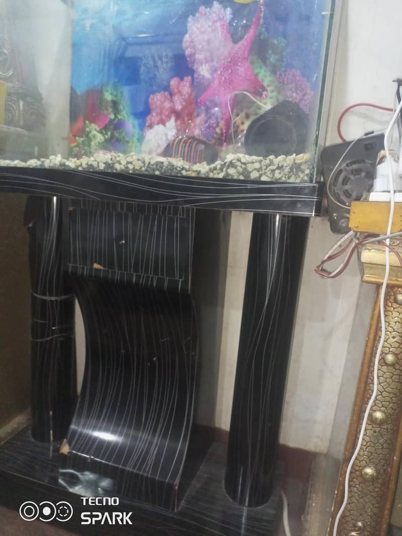 equarium 1