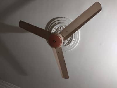 Ceiling Fans