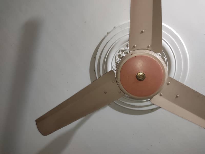 Ceiling Fans 1