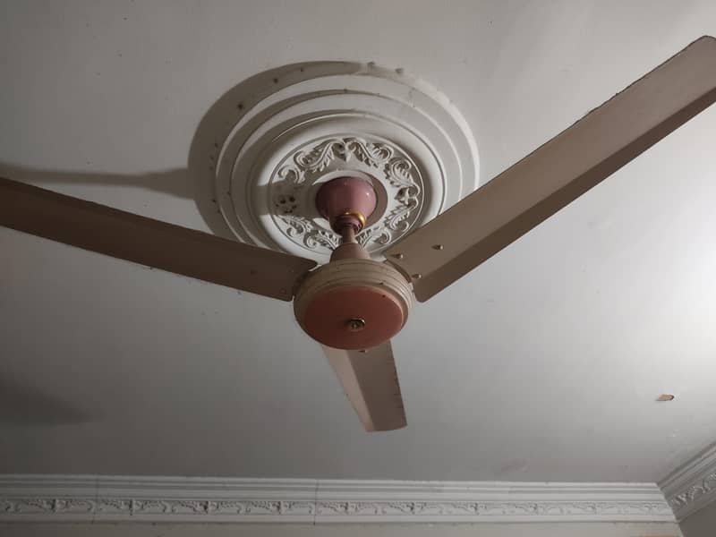 Ceiling Fans 2