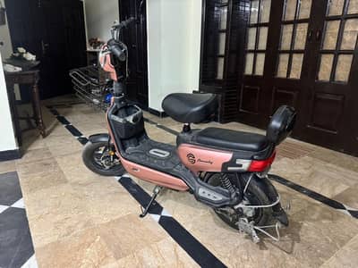Super Classic Bike e bike