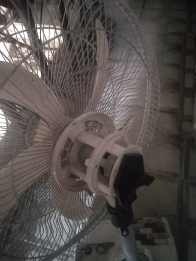 Fan of betrry